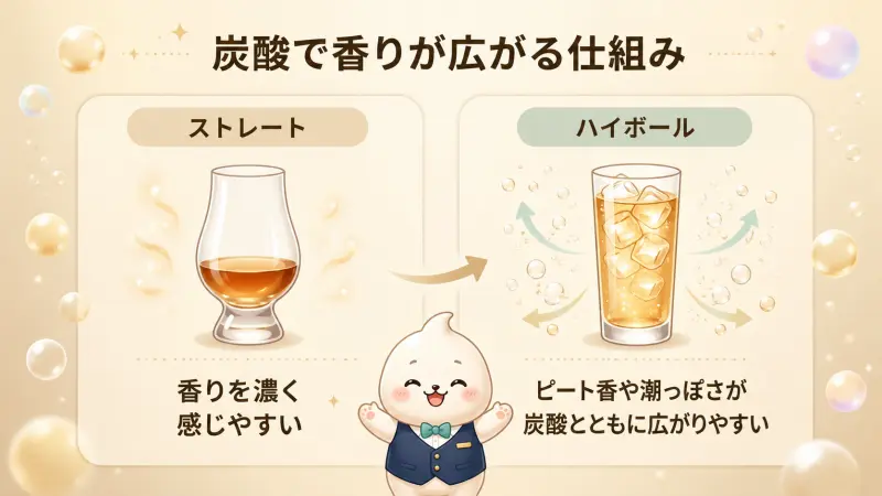 ハイボールに向かないと感じる場合